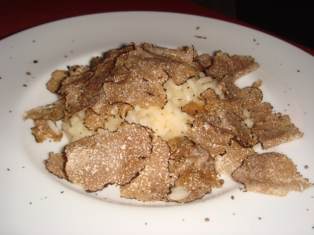 640x640_rect_4653360