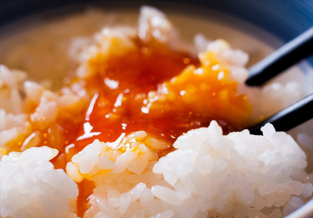 392c5c4a44a2262540168fed01a4b94d2964edc61363063102