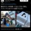 【悲報】夏祭りの露店さん、うっかり原材料を隠し忘れてしまうｗｗｗｗｗ