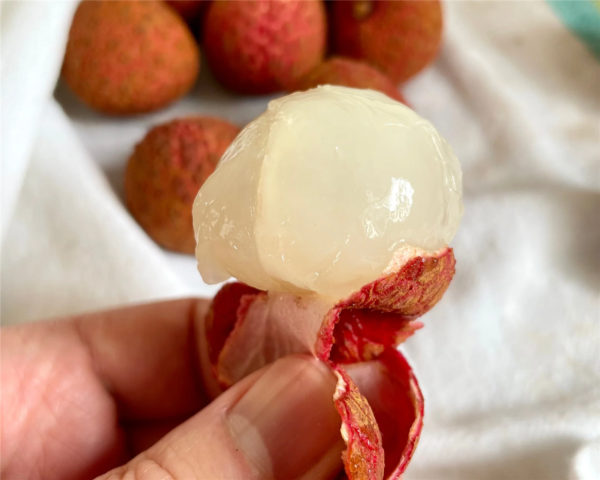 ライチって初めて生の本物食べたけどクソ不味くね？？？？？