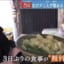 【動画】西成で食べられる無料うどんがこちら